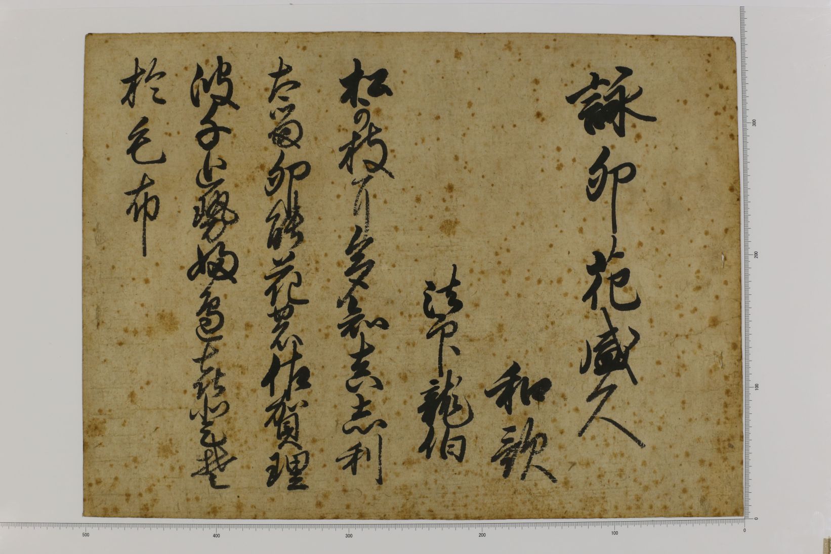 投谷八幡文書